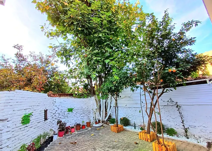 Tirana Bloom Villa&Apartments